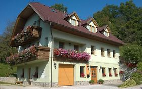 Apartmaji Hribar Pr'Ostank